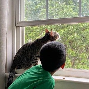 Meet your Posher, Lu jun